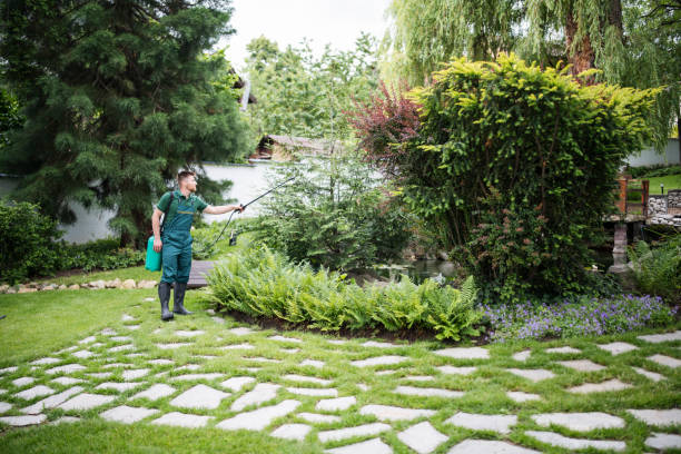 Best Commercial Pest Control Services  in Foxfire, NC