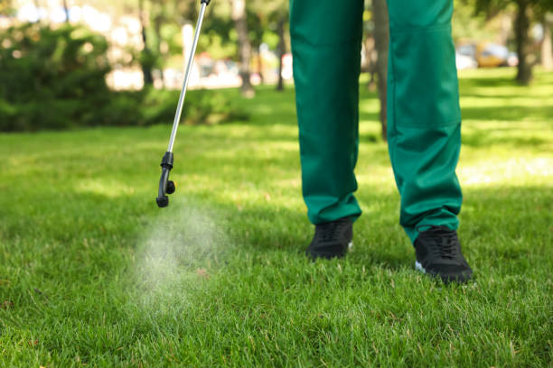 Best Mosquito Control Services  in Foxfire, NC
