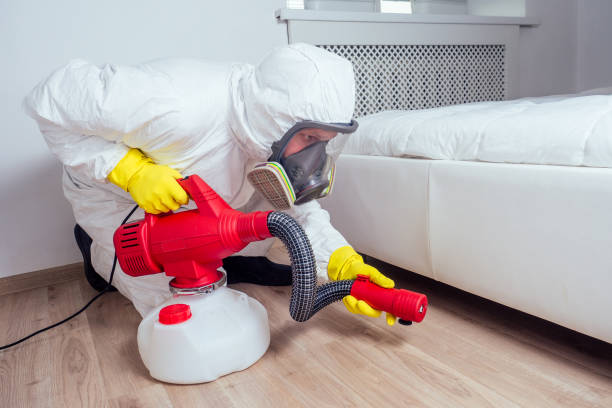 Trusted Foxfire, NC Pest Control Experts