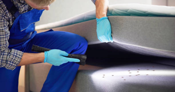 Best Wasp Removal Services  in Foxfire, NC
