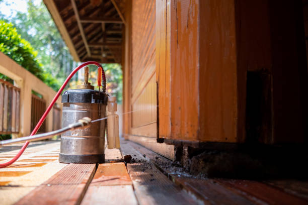 Best Cockroach Control Services  in Foxfire, NC