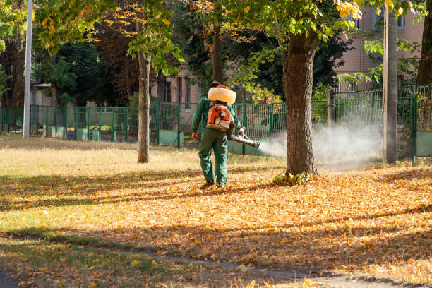 Best Pest Prevention Services  in Foxfire, NC