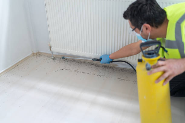 Best Local Pest Control Services  in Foxfire, NC
